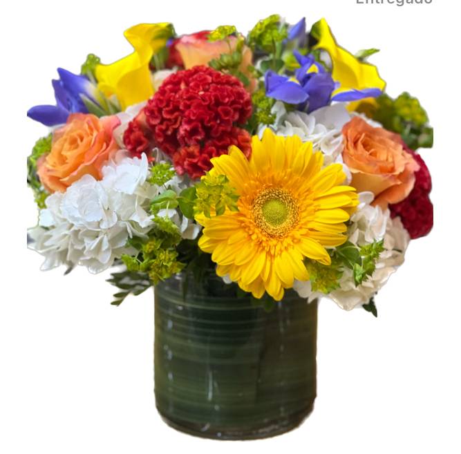 A beautiful arrangement of bright colors perfect to cheer anyone up.