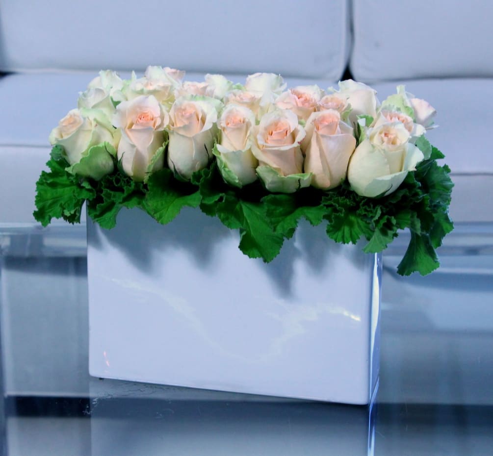 Roses in a row atop a bed of ornamental greens in a