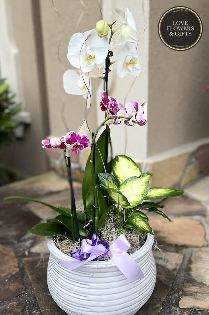 A unique and beautiful arrangement designed with tall orchids, mini orchids, and