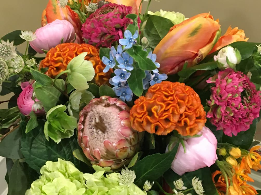 Our head Designer special collection of the week offers tulips and protea