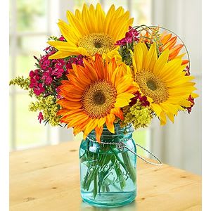 range and yellow Sunflowers known for their striking yellow/green centers are gathered