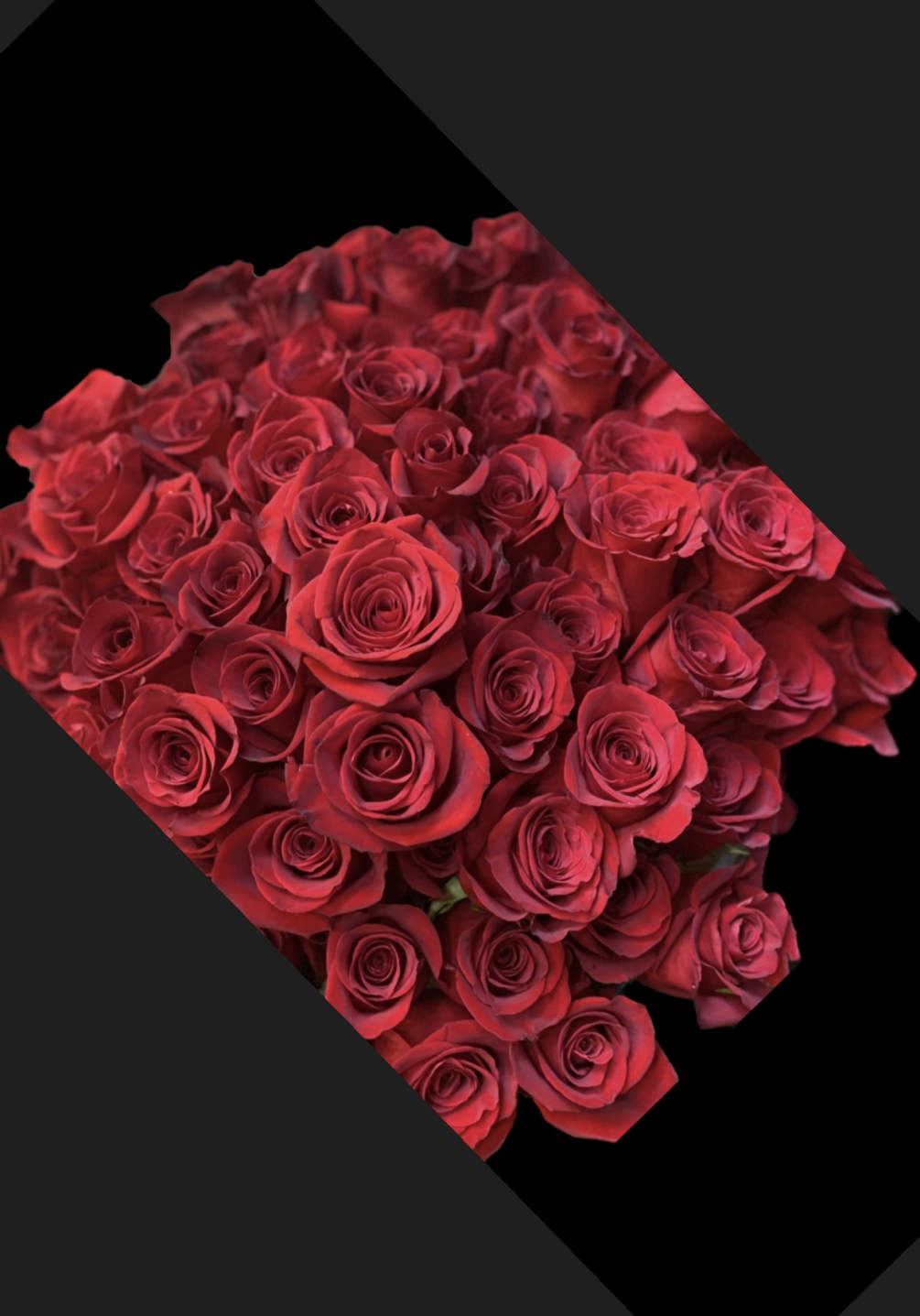 50 Red Roses beautifully wrapped and hand tied. Your Love will undoubtedly
