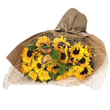20-24 premium sunflowers designed in netting and classic brown bouquet wrap 