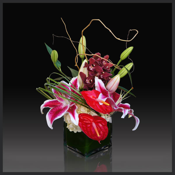 Minimalist beauty abounds in this unique mix of orchids, gladioli and leucadendron