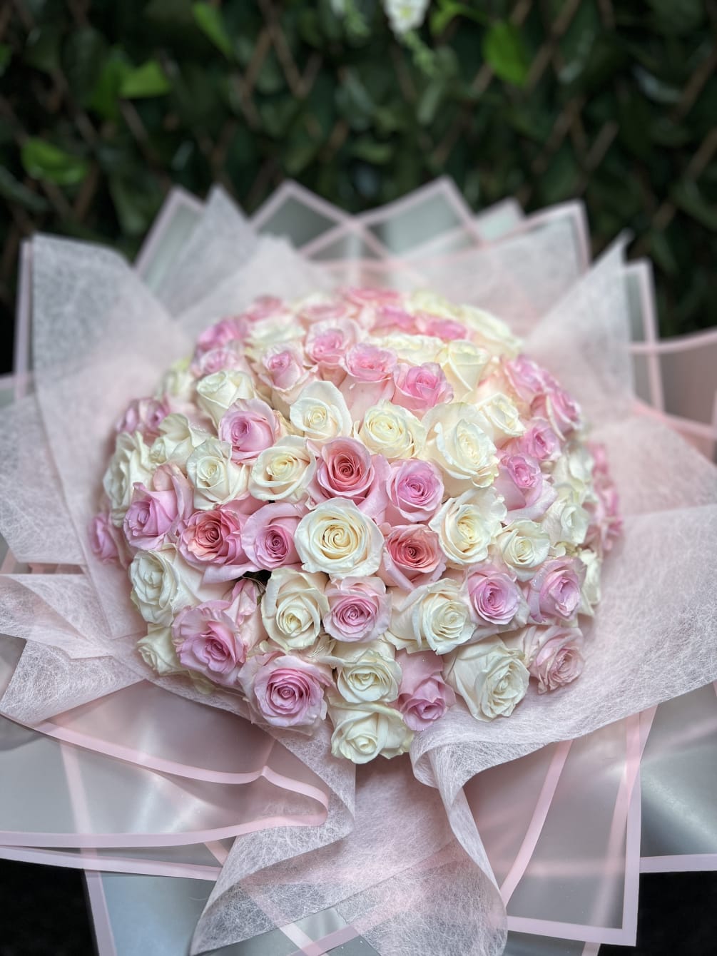 Luxury pale pink and creamy white roses bouquet wrapped with elegant Korean