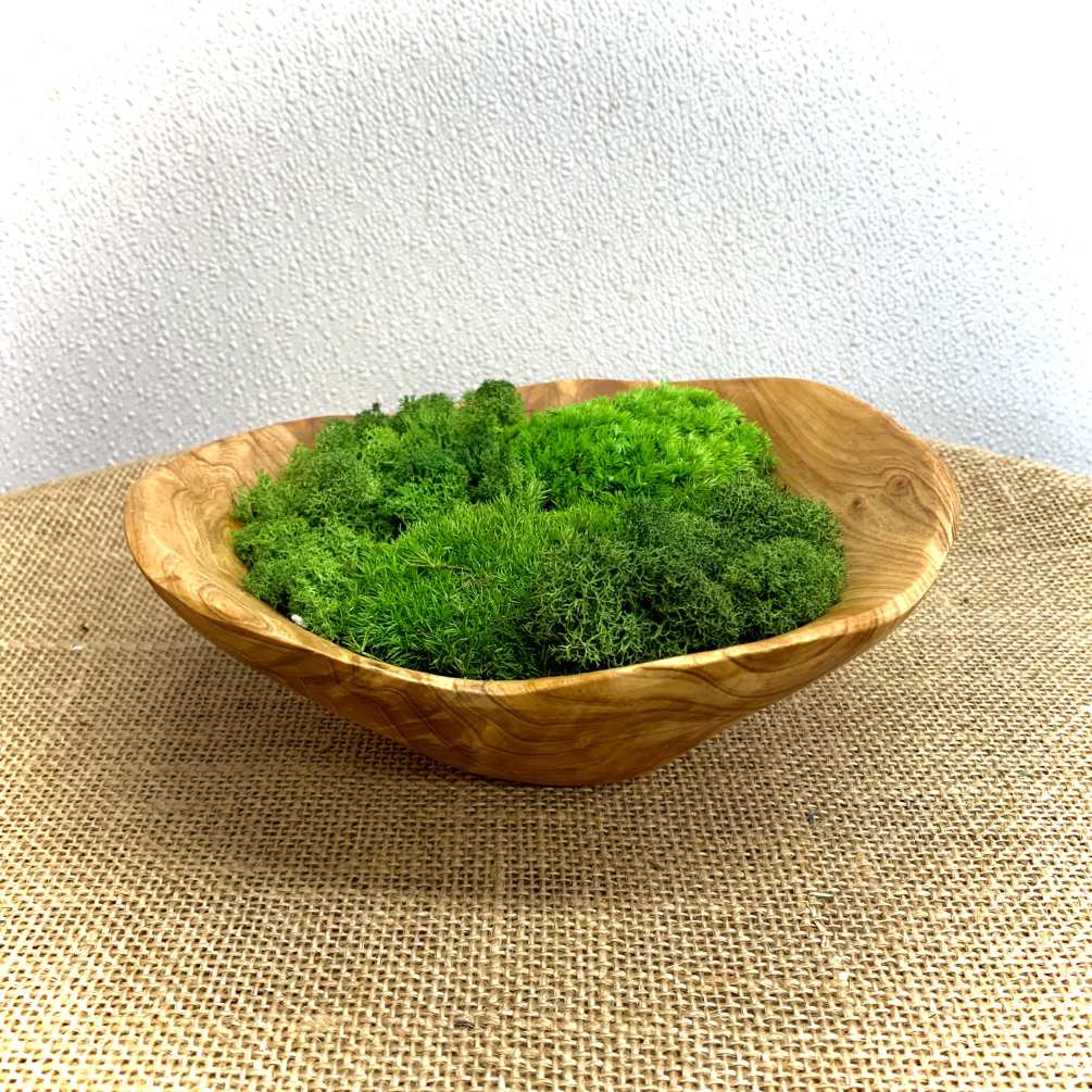 Handmade Wooden Bowl filled with Preserved Moss that makes the perfect decoration