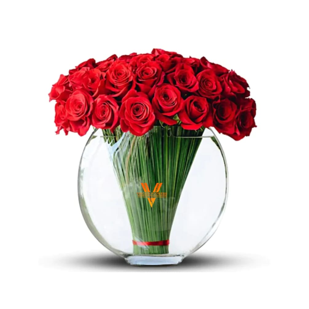 Ignite your senses with the rich beauty of velvety red roses, radiating
