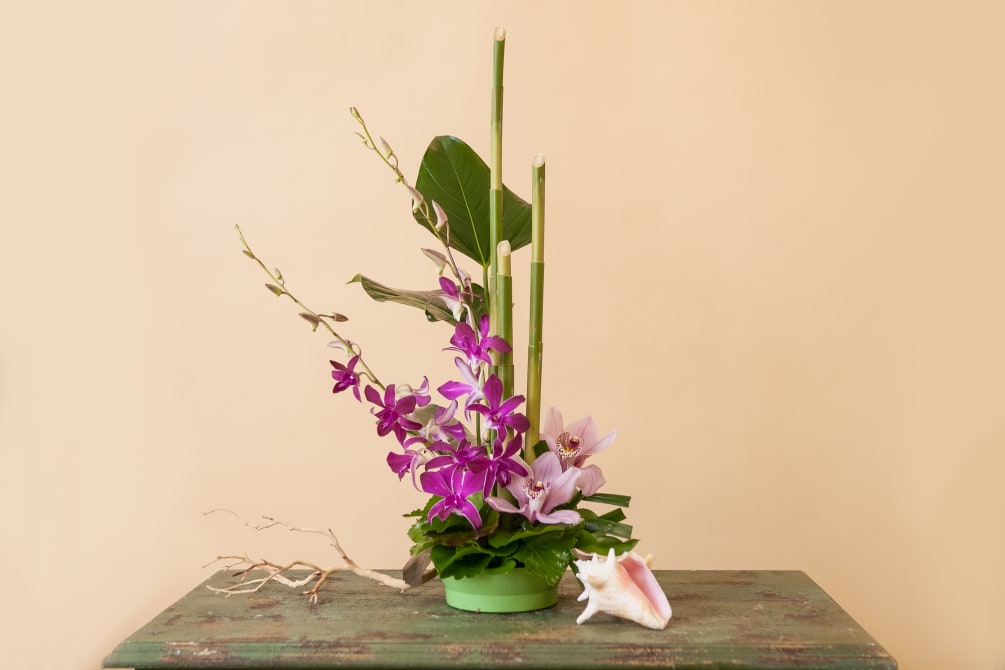 A lovely little tropical arrangement of two types of orchids- dendrobium and