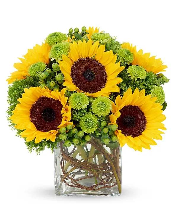 SIX SUNFLOWERS AND  GREEN 