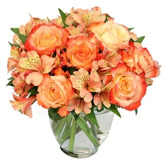  Ambrosia Roses at Fictitious Flowers