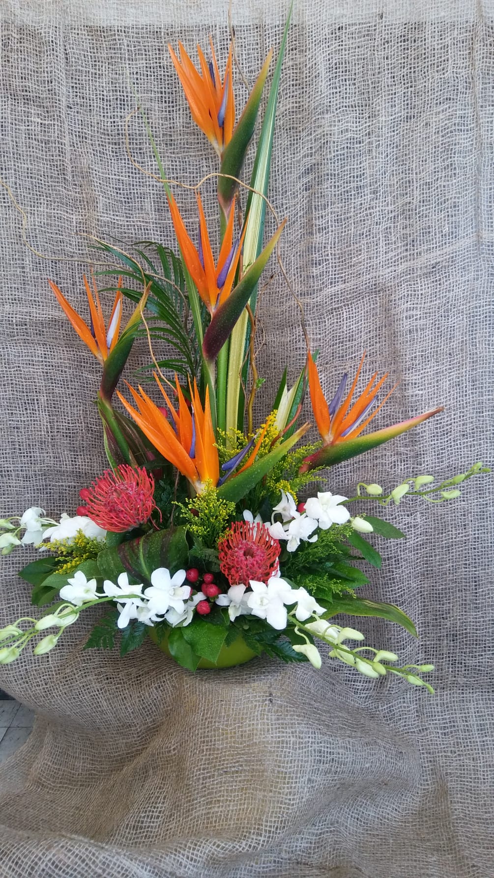 Birds of Paradise, White Dendrobium Orchids and Exotic Greens and Fillers
Note: Seasonal
