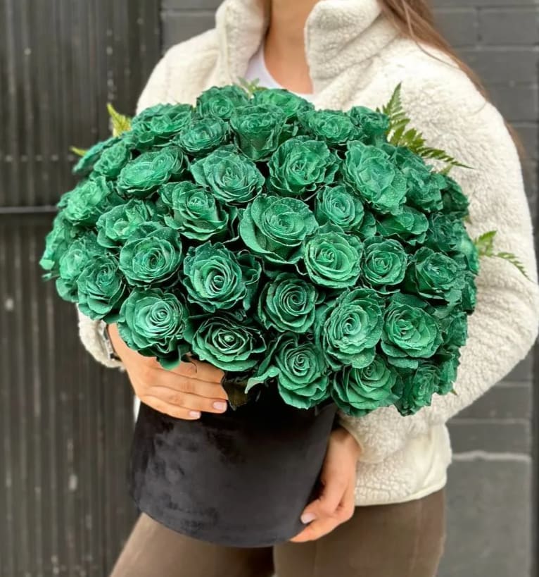 50 fresh cut stunning green roses in a velvet black box is