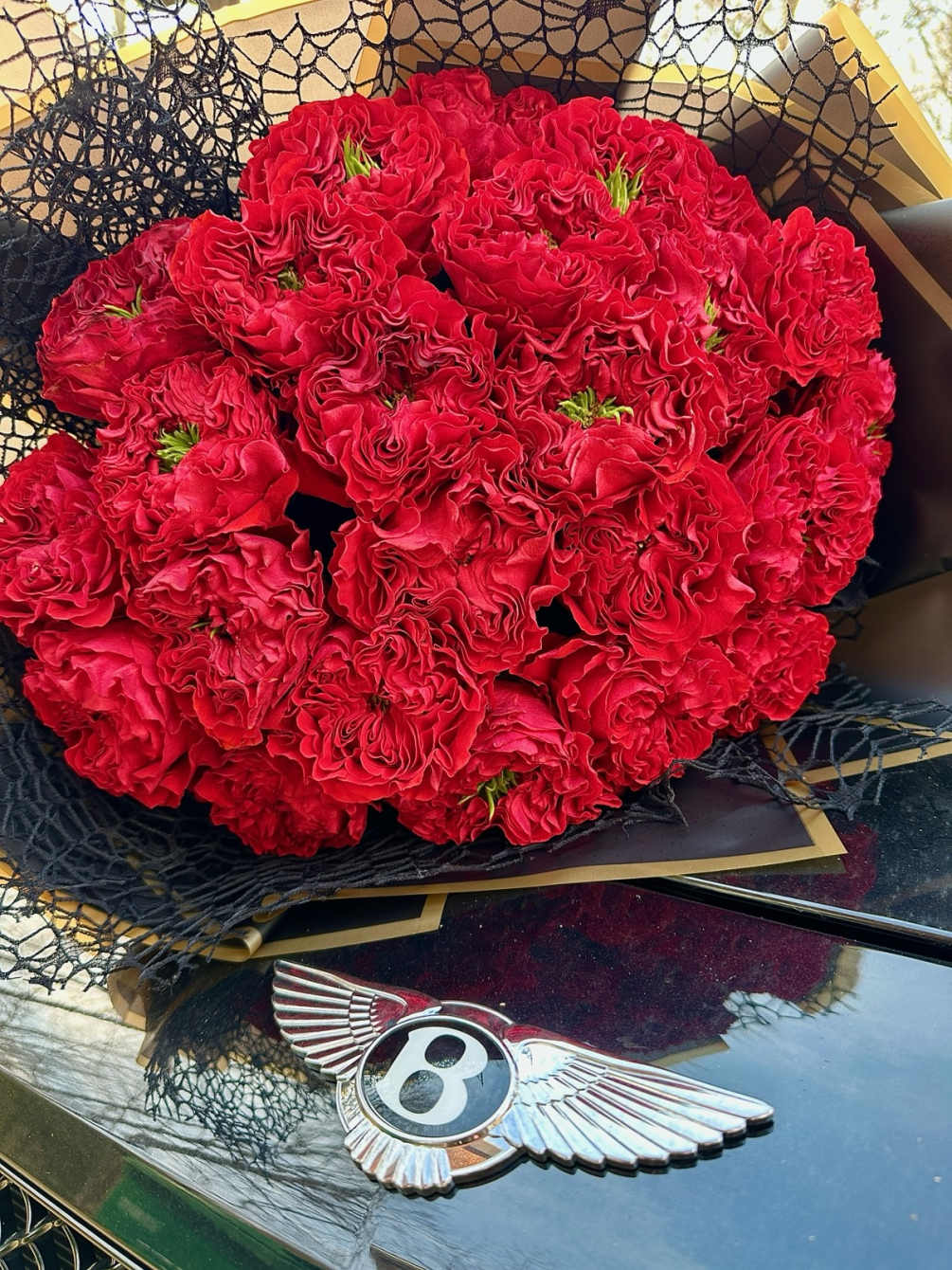 These luxury red garden roses are sure to be the talk of