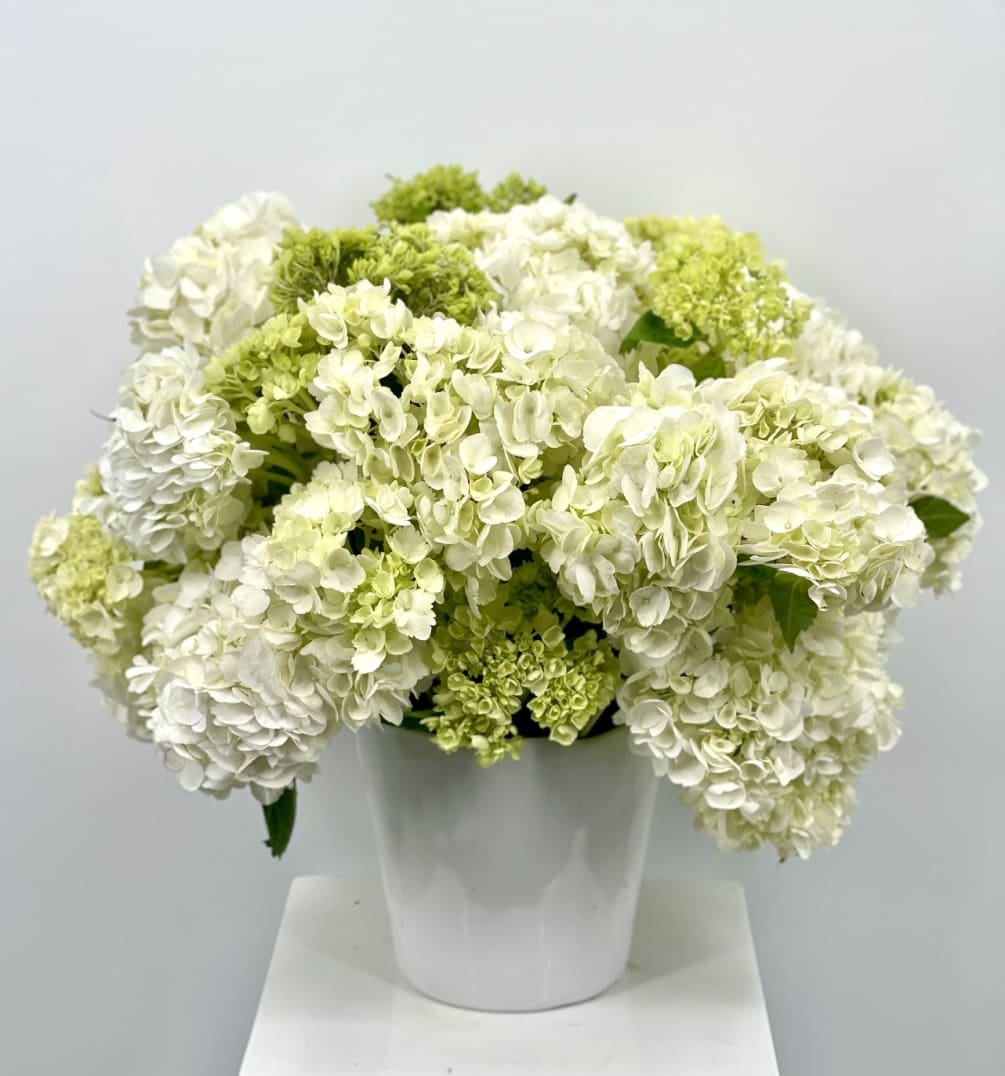 Classic and beautiful mix of white and mini green hydrangeas is always