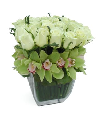 9 white roses surrounded by green cymbidium orchids in a clear square