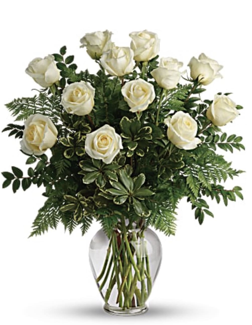 1 Dozen wondrous white roses take center stage in this chic bouquet