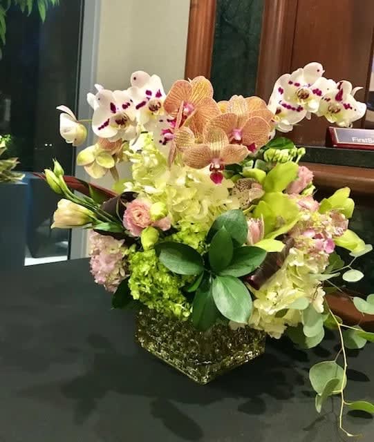 Mixed color Orchid blooms , Hydrangeas , green in 6&quot;x6&quot; golden glass