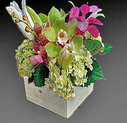 Sultry and mysterious is this array of exotic blooms to set the