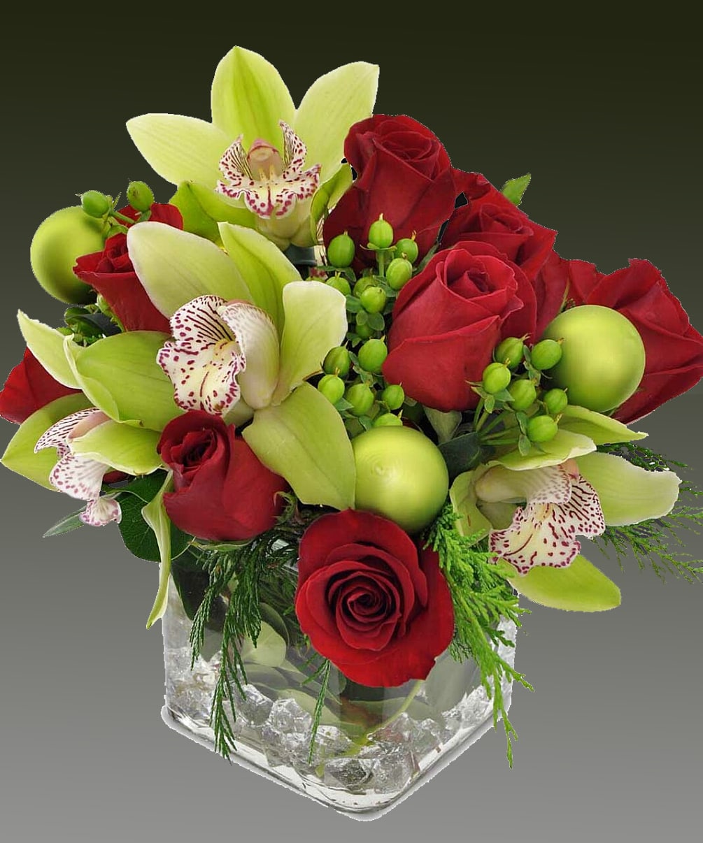 Green cymbidium orchids beauty abounds in this red roses. 