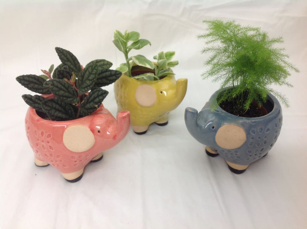 A sweet lucky trio of elephant planters including the green plants