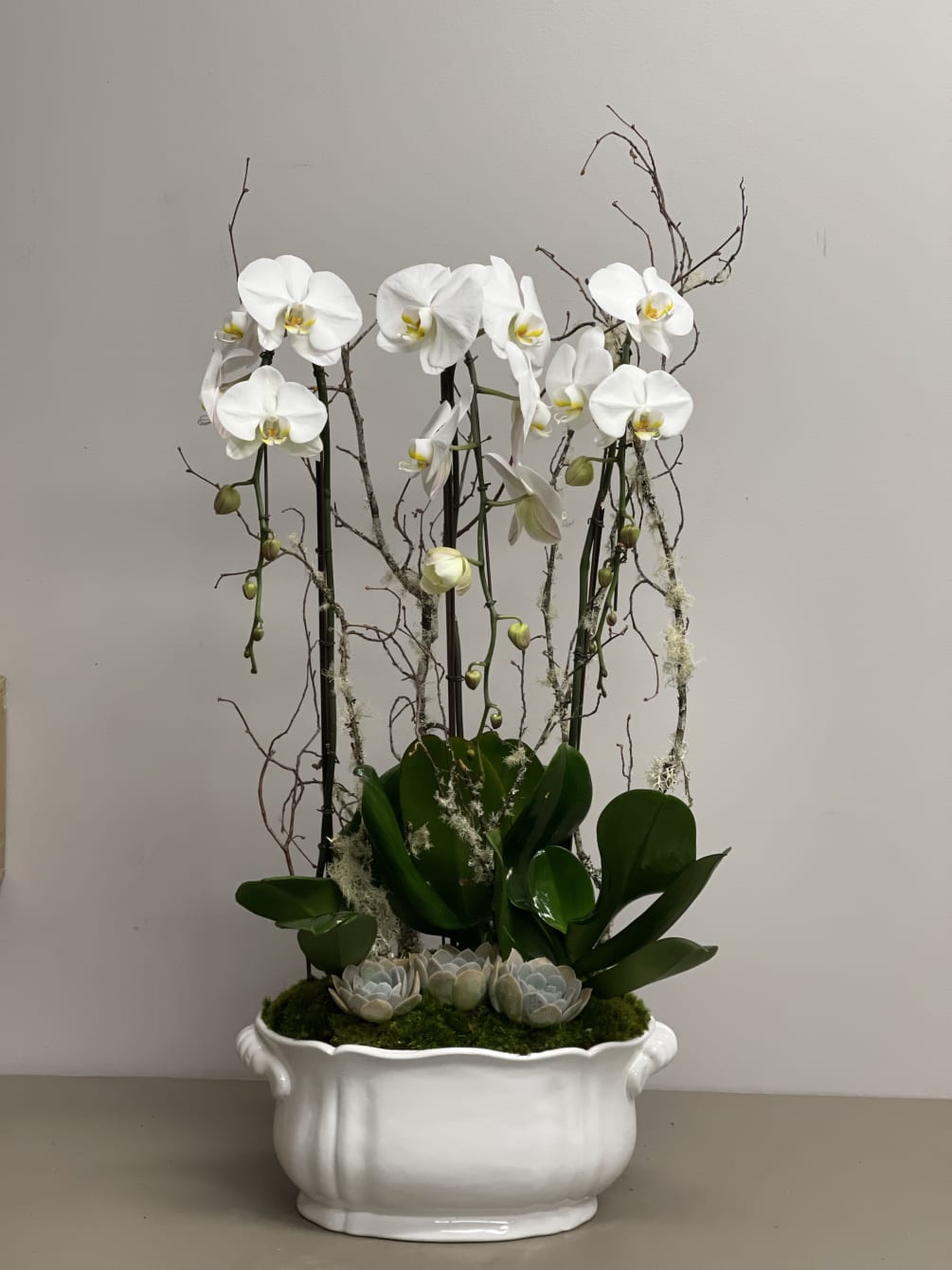 Beautiful arrangement of 3 white cascading Orchids in ivory porcelain container with