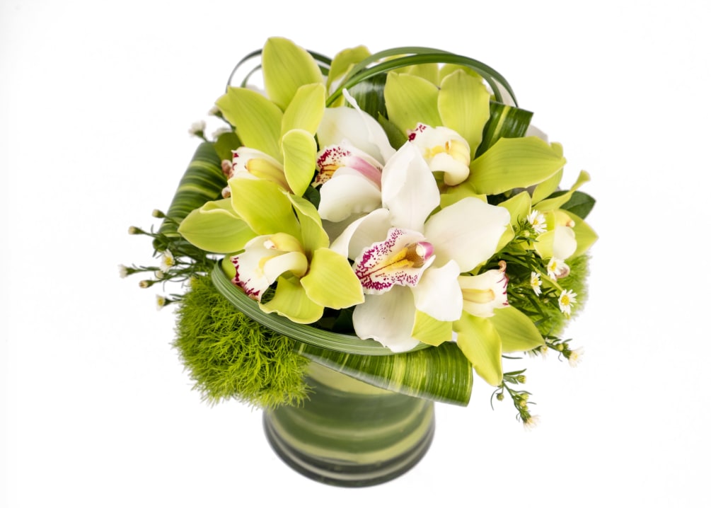 Green and White Cymbidium Orchids with Green Dianthus designed in a glass