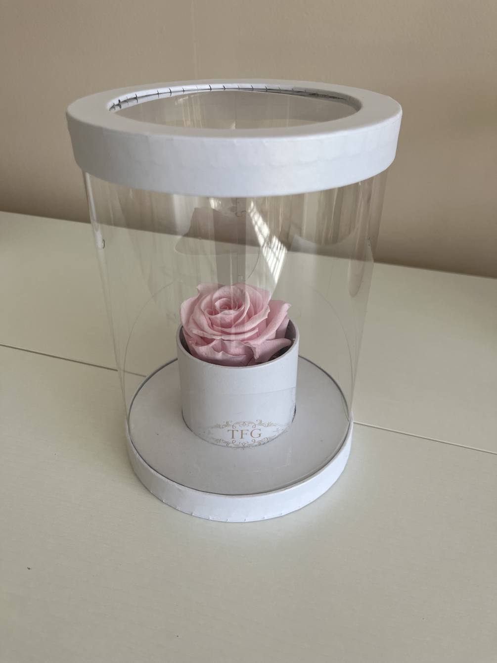 Preserved pink rose in signature clear box. Real rose that will last