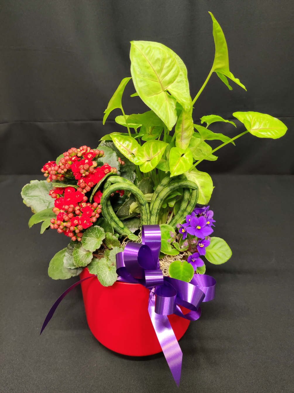 Gorgeous bright red pot Fun assortment of living plants including a heart