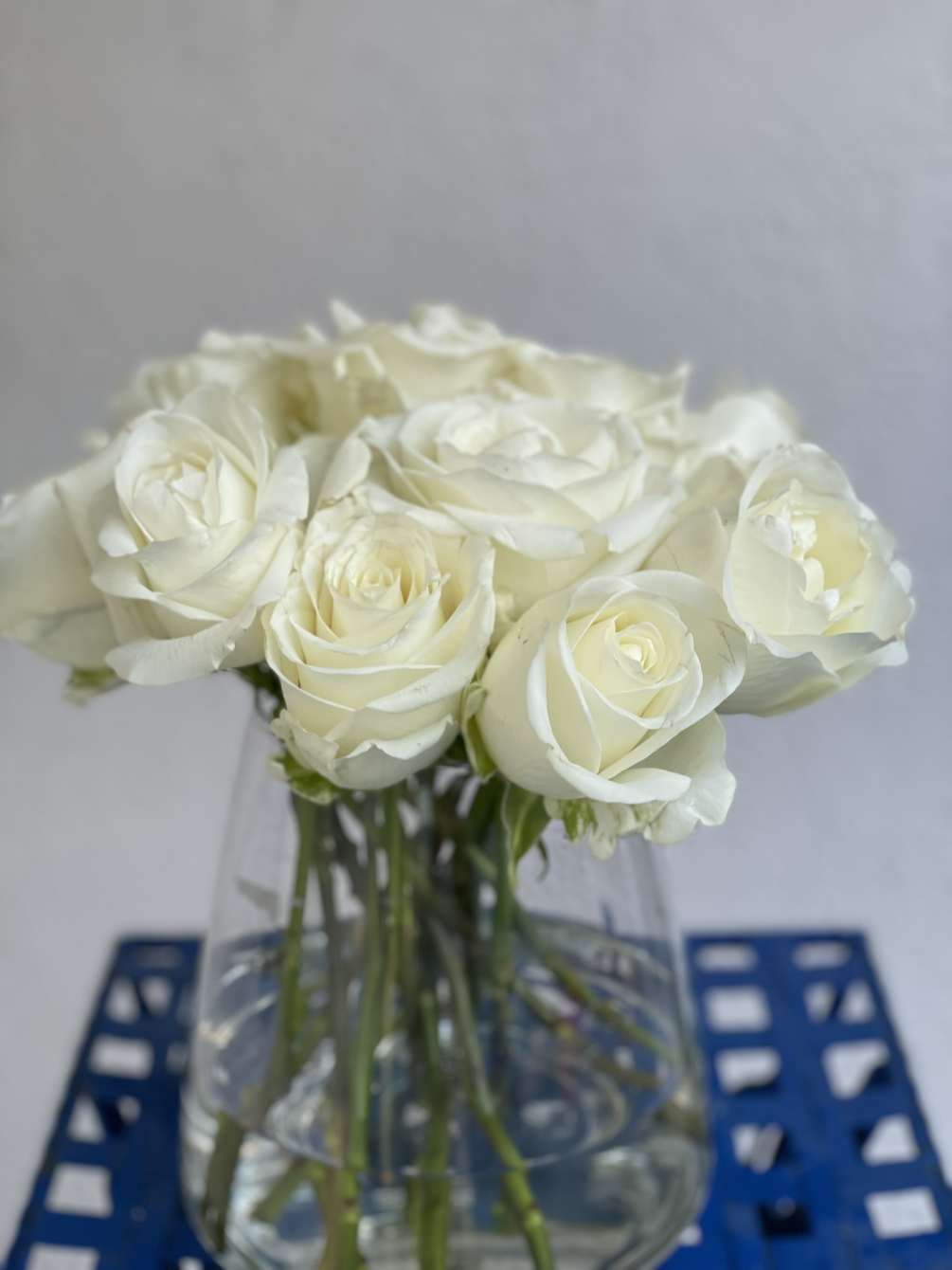 13 Beautiful, timeless long stem white roses arranged in an elegant vase