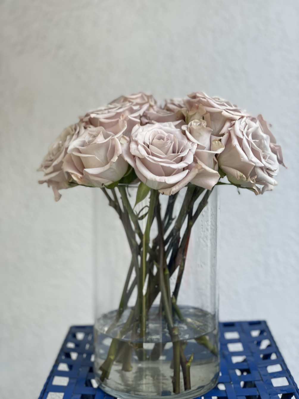13 Gorgeous and unique quicksand roses arranged in an elegant vase
