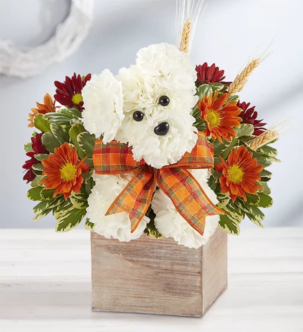 Our fall flower pup is a true delight. Crafted from white carnations