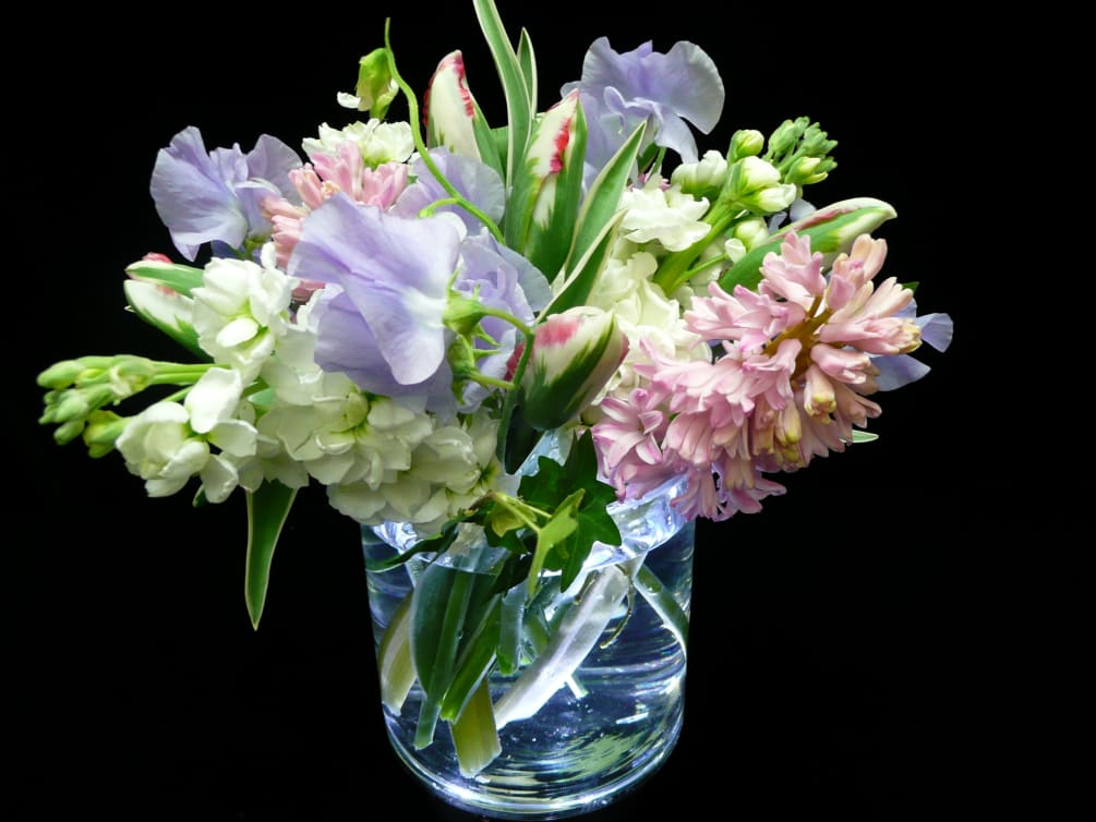 Spring unfiltered, Tulips, Freesia , Hyacinths
