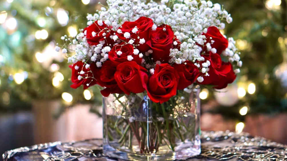 One dozen red roses arranged in a square glass vase, surrounded by