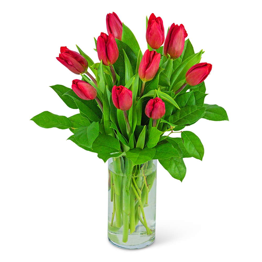 It&#039;s always a good idea to send tulips! The color red evokes