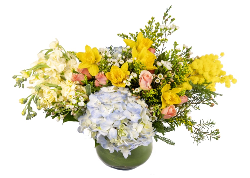 Blue hydrangea, daffodils, stock, aster, mimosa and wax flower arranged in a