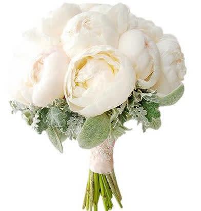 Gifts and Flowers, we have been creating luxurious wedding designs for many