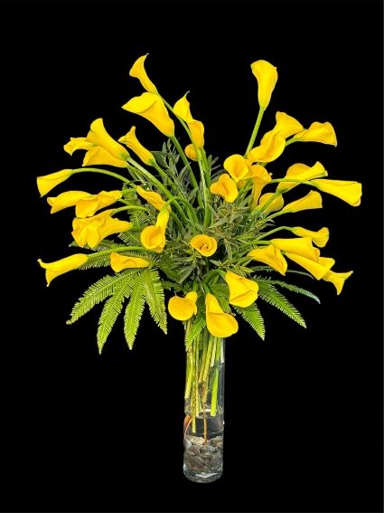 Bright yellow calla lilies in tall vase with river rocks