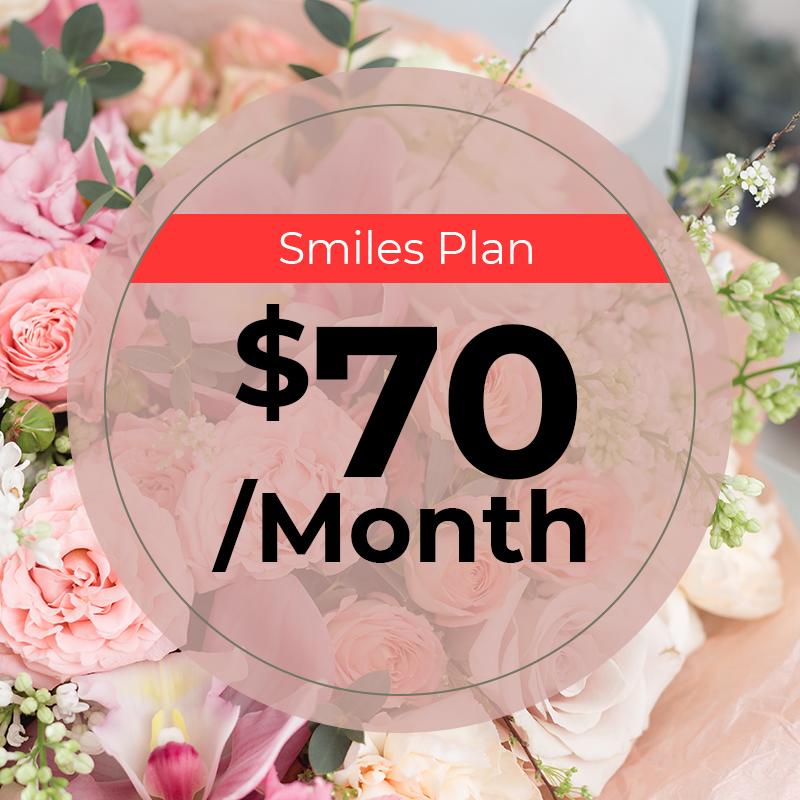 Smiles Plan Subscriptions 