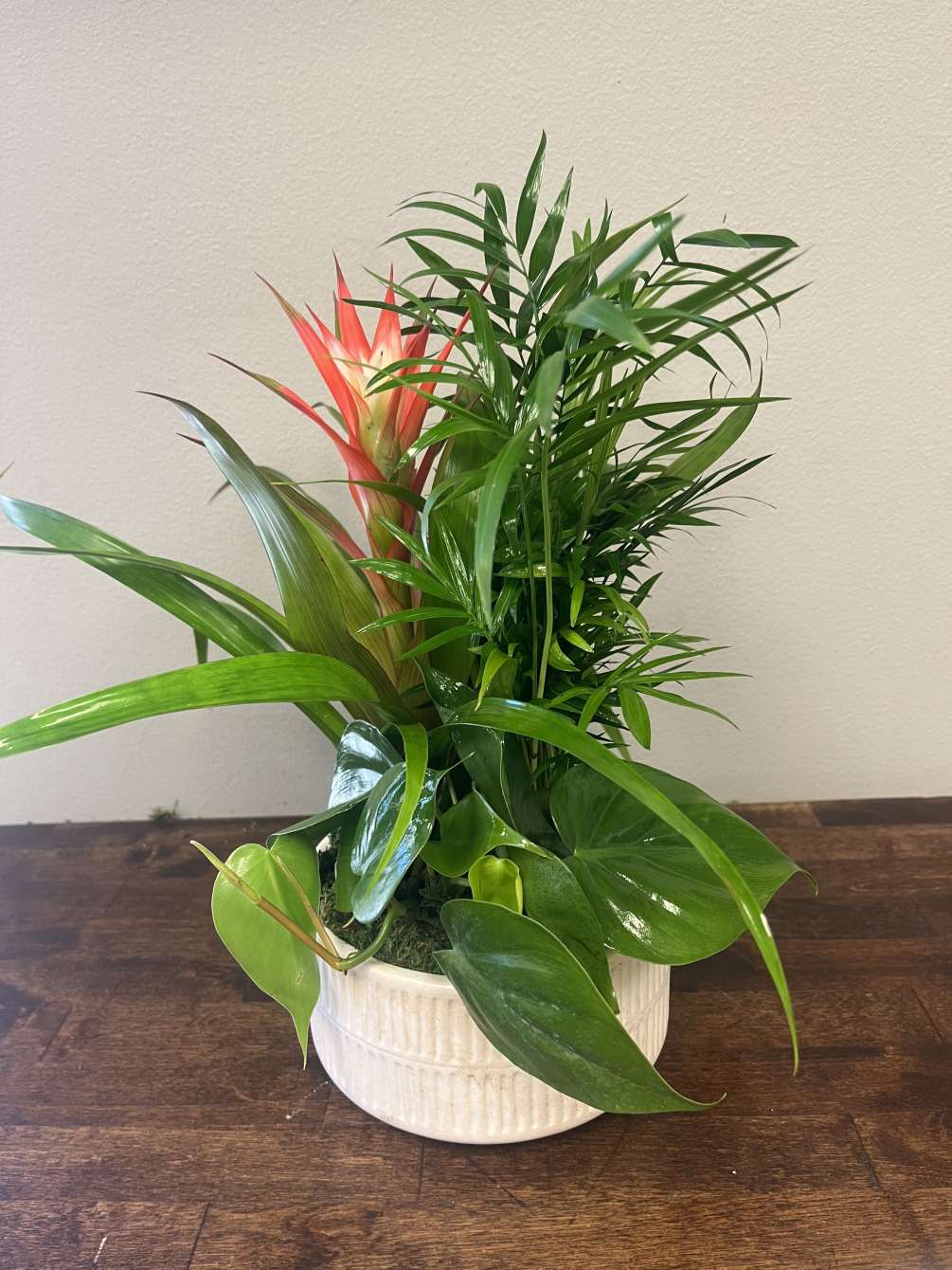 A colorful bromeliad plant with accompanying green plants in a modern ceramic