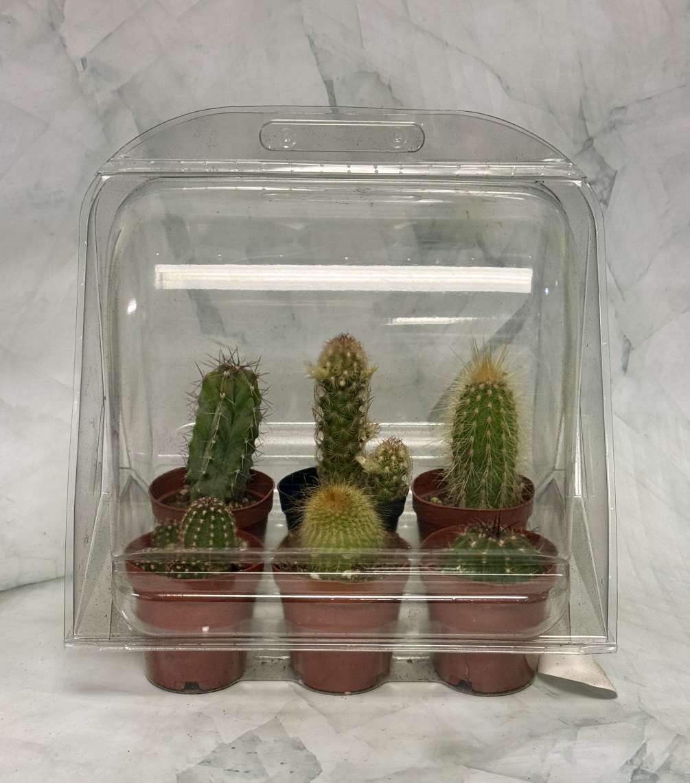 This is a great gift for the cactus lover in your life!