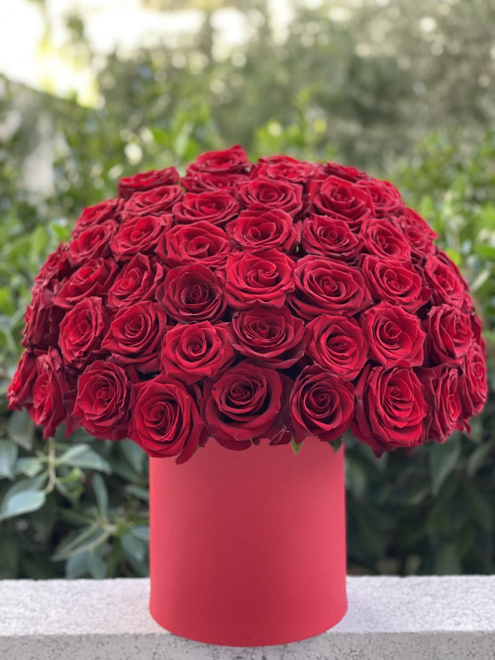 Chic box of 50 gorgeous red roses