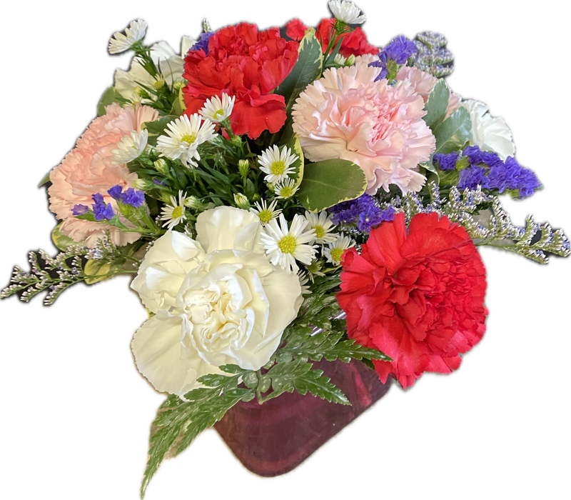 This color cube vase includes an assortment of carnations accented with complimentary
