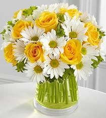 A burst of yellow roses, laying in a bed of daisies. 