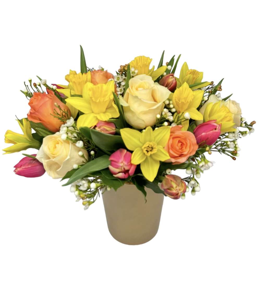 Daffodils, orange rose, cream rose, tulips and white wax flower designed in