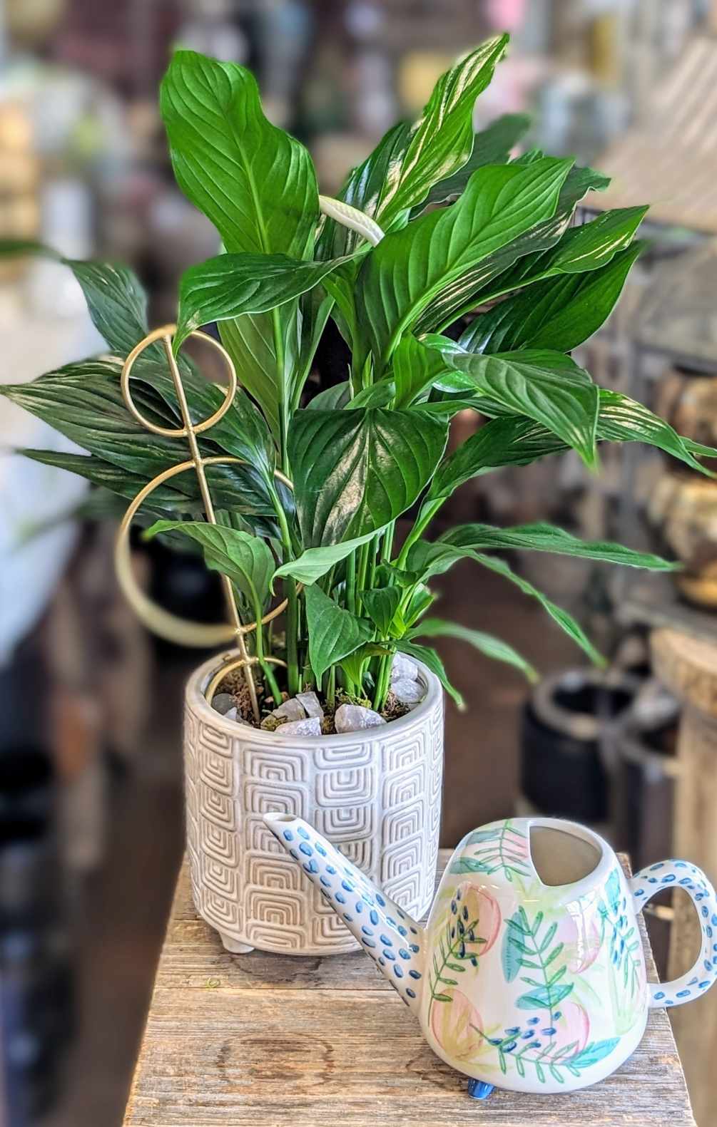 A sweet gift for your favorite plant lover. A peace lily plant