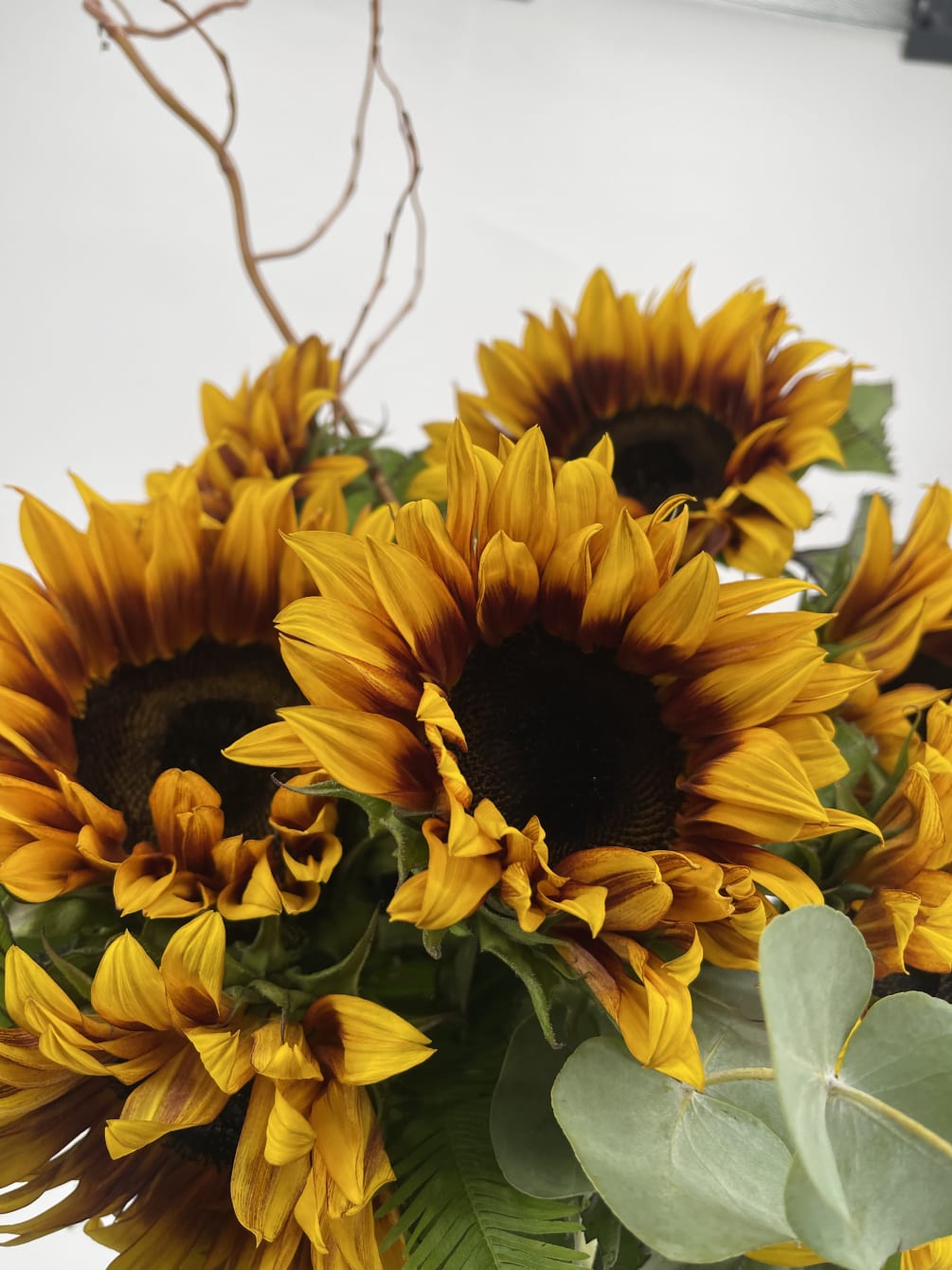 Gorgeous happy arrangement, 12 sunflowers with greenery around,  and some branches