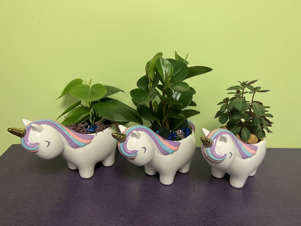 This magical unicorn arrangement is not only filled with magic, but it