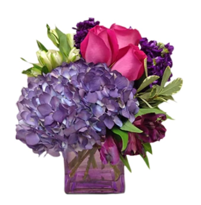 A cube vase arrangement featuring hydrangea, roses, alstroemeria, and stock.

Substitutions of equal