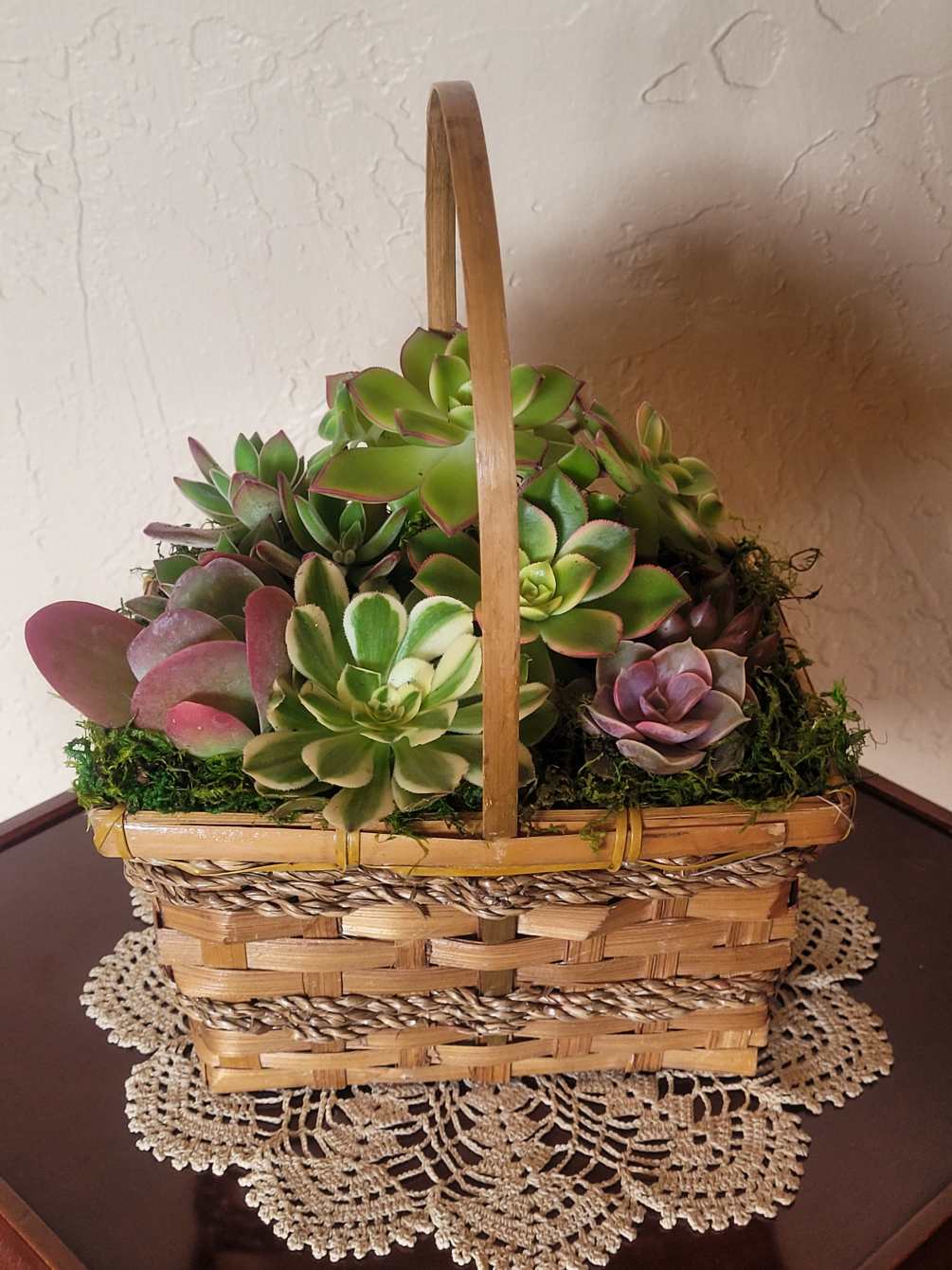 An assortment of succulents planted in a wicker basket. Ideal for anyone