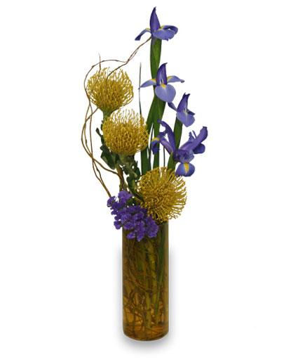 A bud vase with pincushion Protea and Iris. 